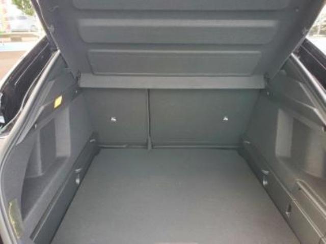 ルノー アルカナ   新潟県の詳細画像 その5