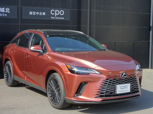 レクサス RXハイブリッド   愛媛県の詳細画像 その3