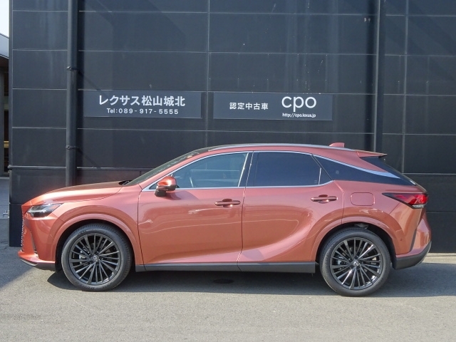 レクサス RXハイブリッド   愛媛県の詳細画像 その6