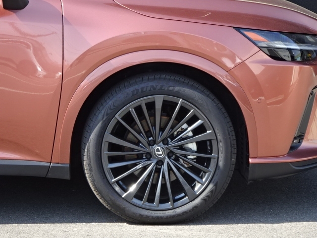 レクサス RXハイブリッド   愛媛県の詳細画像 その8