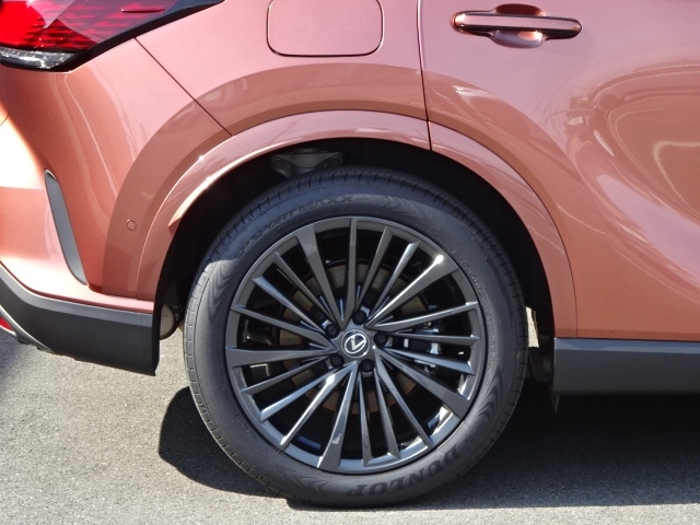 レクサス RXハイブリッド   愛媛県の詳細画像 その9