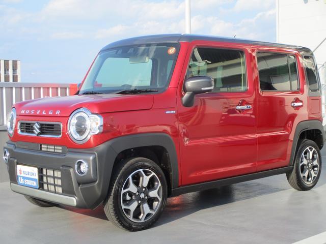 スズキ ハスラー   栃木県