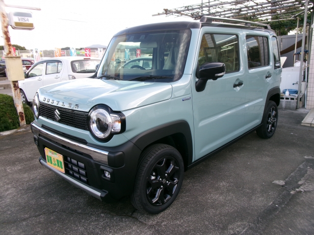 スズキ ハスラー 660 タフワイルド  埼玉県の詳細画像 その3