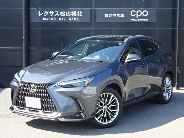 レクサス NX 250 バージョンL  愛媛県