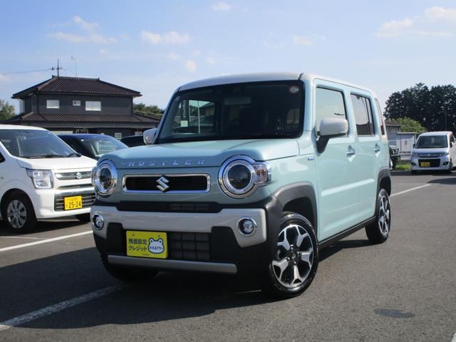 スズキ ハスラー   茨城県