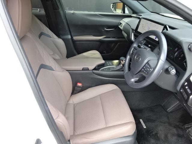 レクサス UX 250h グレイスフル エクスプローラー  愛媛県の詳細画像 その9