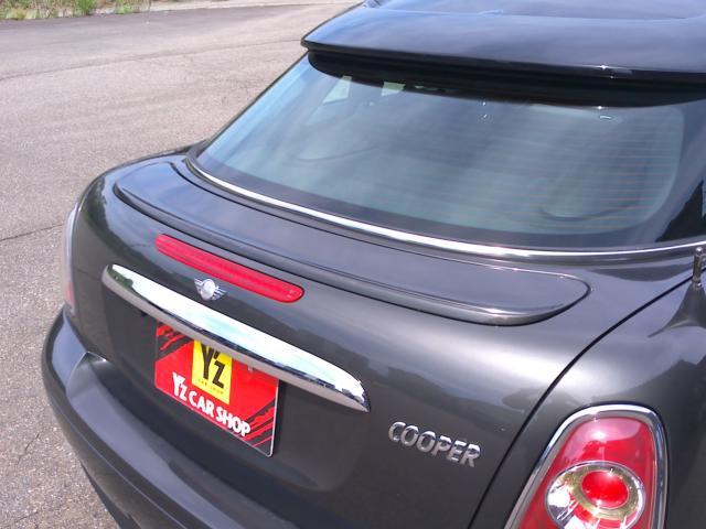 ミニ ミニ   新潟県の詳細画像 その9