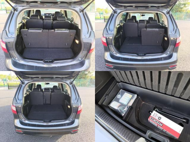 日産 ラフェスタ   千葉県の詳細画像 その8