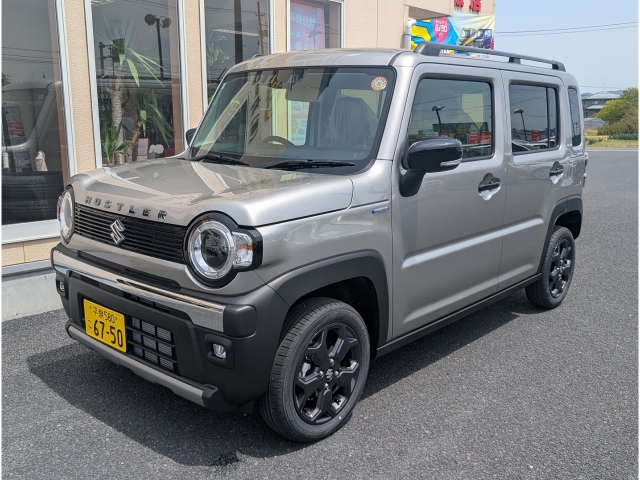 スズキ ハスラー 660 タフワイルド  岩手県の詳細画像 その5