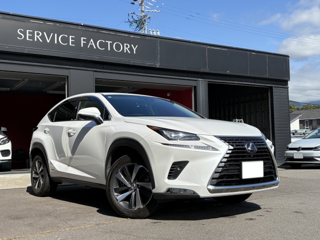 レクサス NX 300h バージョンL  長野県の詳細画像 その4