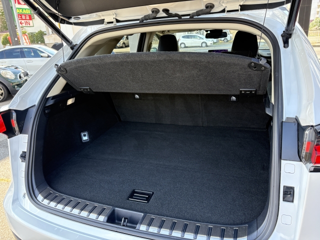 レクサス NX 300h バージョンL  長野県の詳細画像 その9