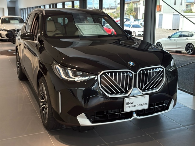 BMW X3   長野県