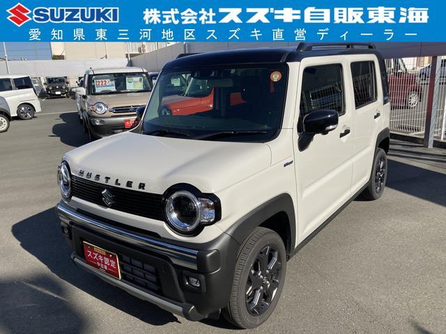 スズキ ハスラー   愛知県