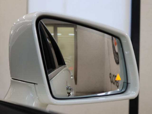 メルセデス・ベンツ CLSクラス   東京都の詳細画像 その9