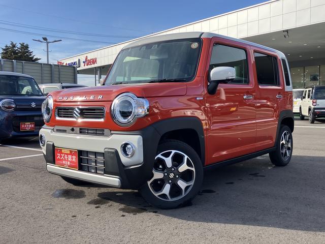 スズキ&nbsp;ハスラー&nbsp;&nbsp;&nbsp;長野県