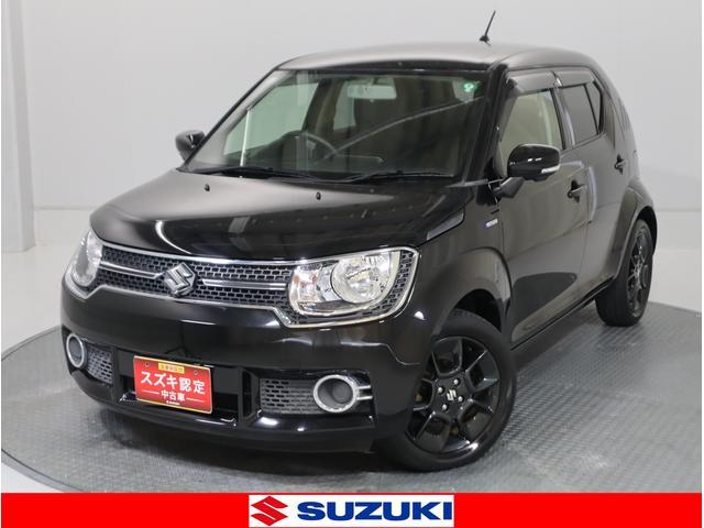 スズキ イグニス   愛知県