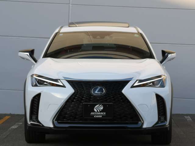 レクサス UX 250h Fスポーツ  神奈川県の詳細画像 その6