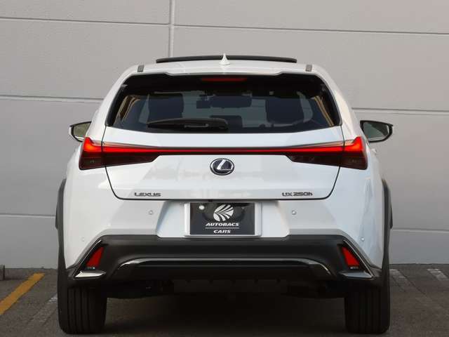 レクサス UX 250h Fスポーツ  神奈川県の詳細画像 その9