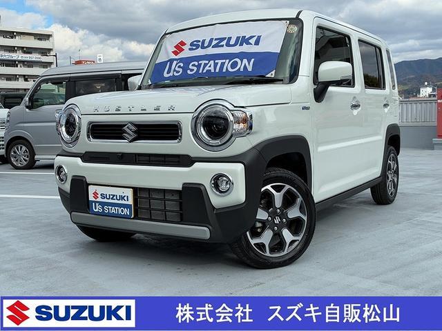 スズキ ハスラー   愛媛県