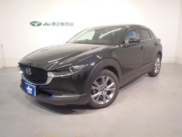 マツダ&nbsp;CX-30&nbsp;&nbsp;&nbsp;新潟県の詳細画像&nbsp;その2