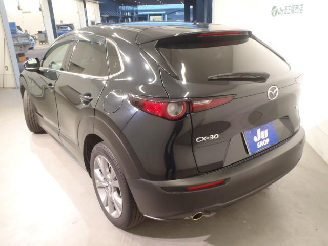 マツダ&nbsp;CX-30&nbsp;&nbsp;&nbsp;新潟県の詳細画像&nbsp;その3
