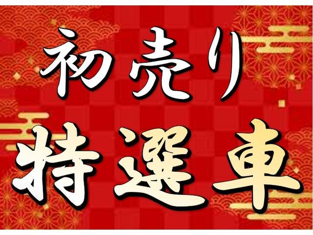 スズキ&nbsp;アルトラパン&nbsp;&nbsp;&nbsp;岩手県の詳細画像&nbsp;その2
