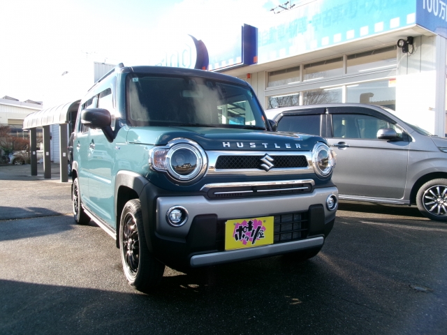 スズキ&nbsp;ハスラー&nbsp;&nbsp;&nbsp;長野県