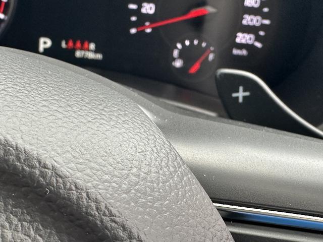 スズキ&nbsp;スイフト&nbsp;&nbsp;&nbsp;長野県の詳細画像&nbsp;その8