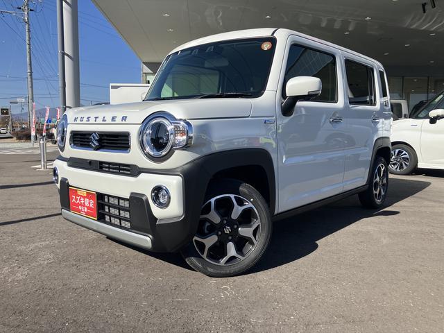 スズキ&nbsp;ハスラー&nbsp;&nbsp;&nbsp;長野県