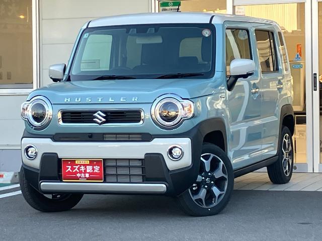 スズキ&nbsp;ハスラー&nbsp;&nbsp;&nbsp;長野県