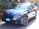 BMW X5   東京都