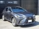 レクサス NX 250 バージョンL  愛媛県の詳細画像 その3