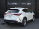 レクサス NX 350h バージョンL  愛媛県の詳細画像 その4